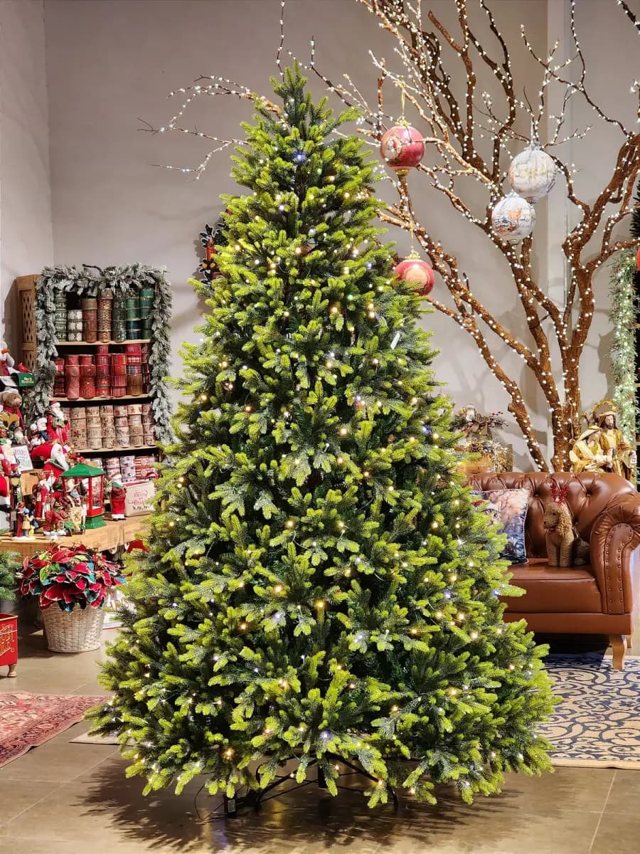 Árvores de Natal